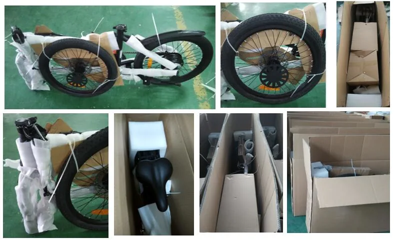 Magnesium Alloy Wheels 16 Inch Folding Bike with Double Disc Brake